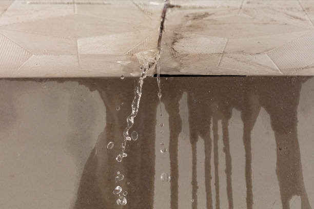 Professional Structural Drying technician working in Harmony, ME